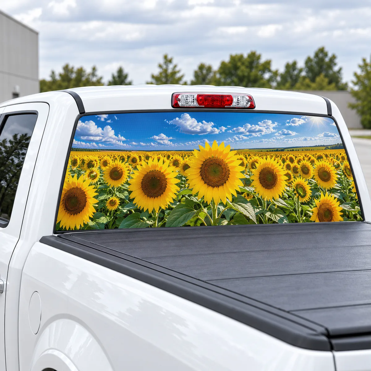 Sunflower Field perforated rear window decal for Trucks, view 2 of 4
