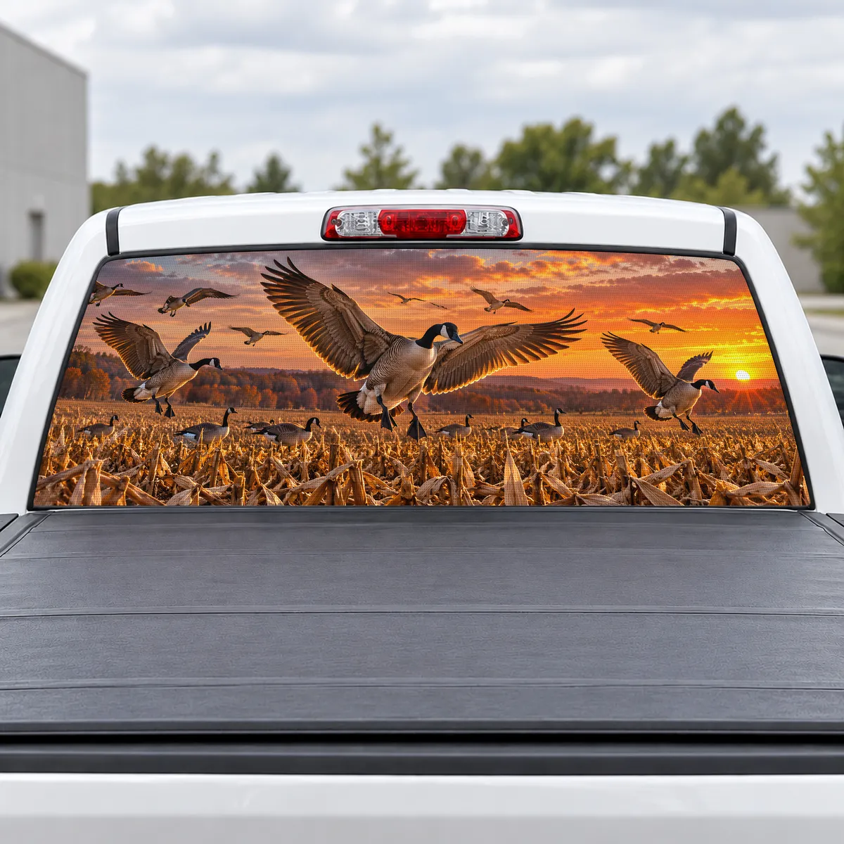 Canada Geese Fall perforated rear window decal for Trucks