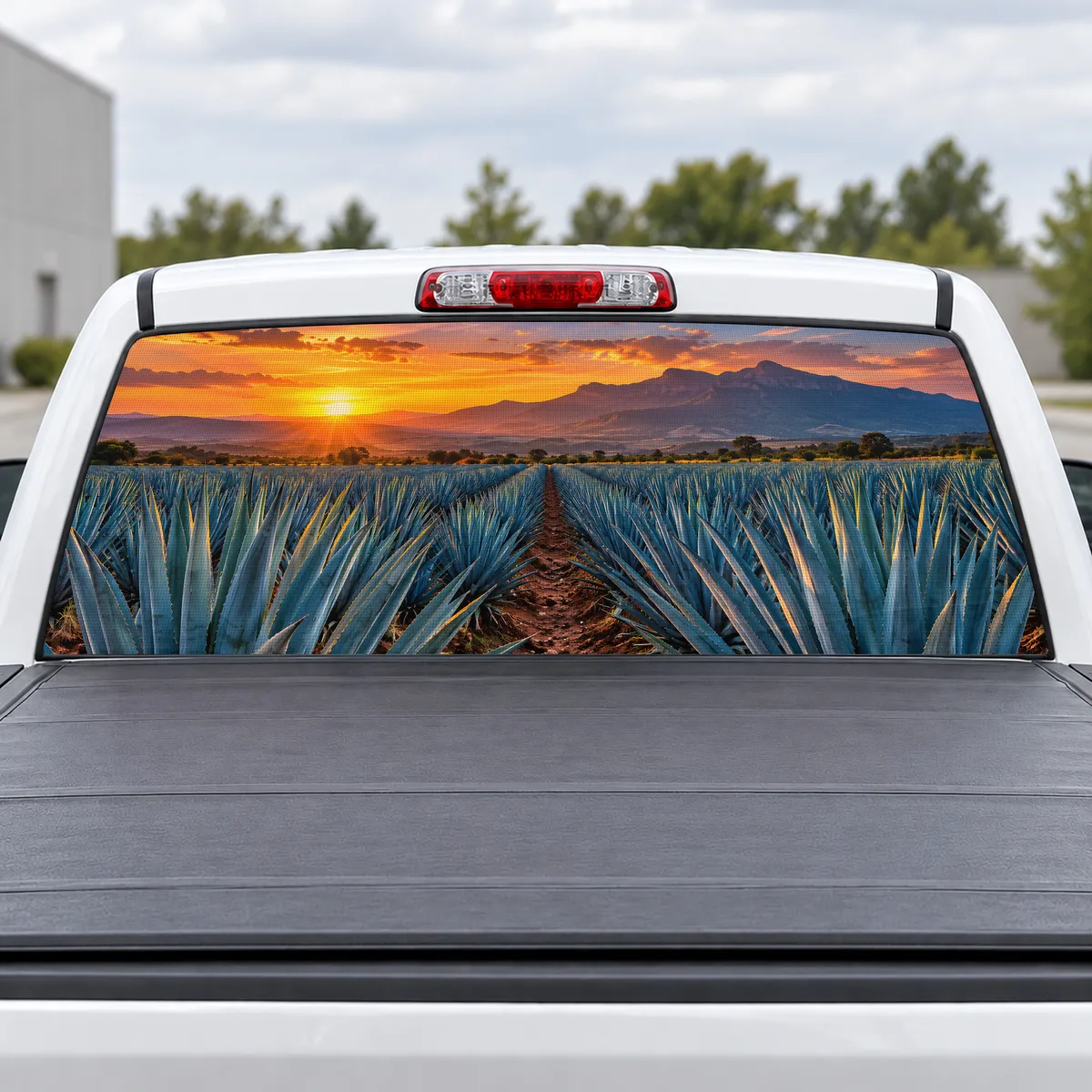 Agave Fields perforated rear window decal for Trucks