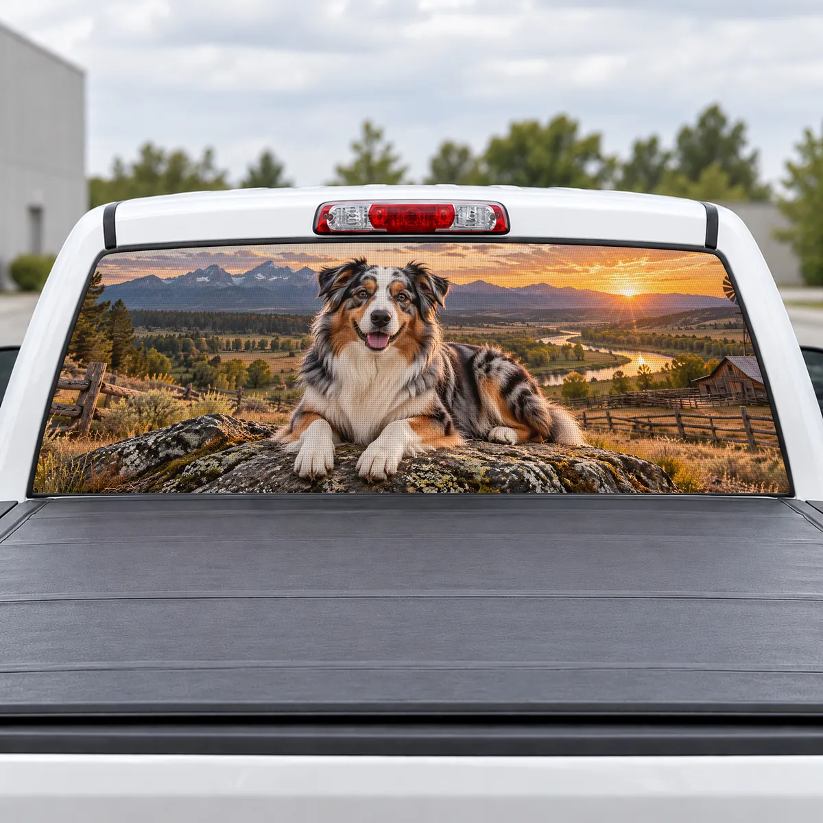 Australian Shepherd perforated rear window decal for Trucks