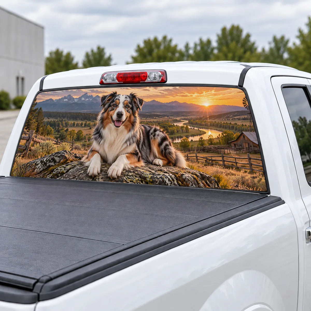 Australian Shepherd perforated rear window decal for Trucks, view 3 of 4