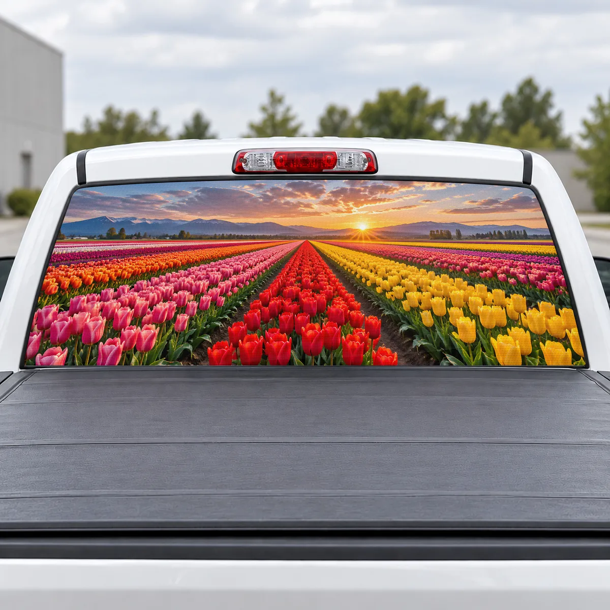 Tulip Fields perforated rear window decal for Trucks