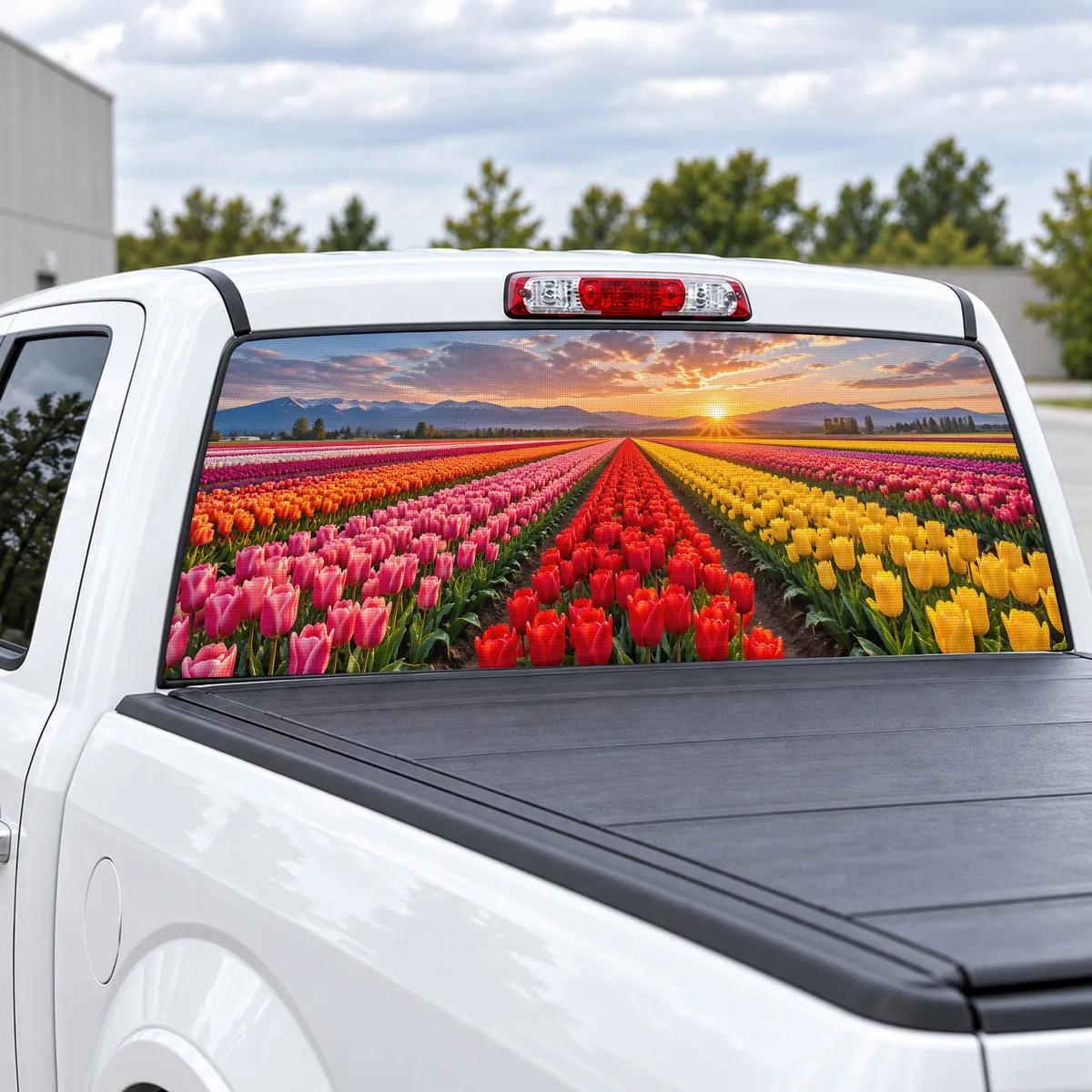 Tulip Fields perforated rear window decal for Trucks, view 2 of 4