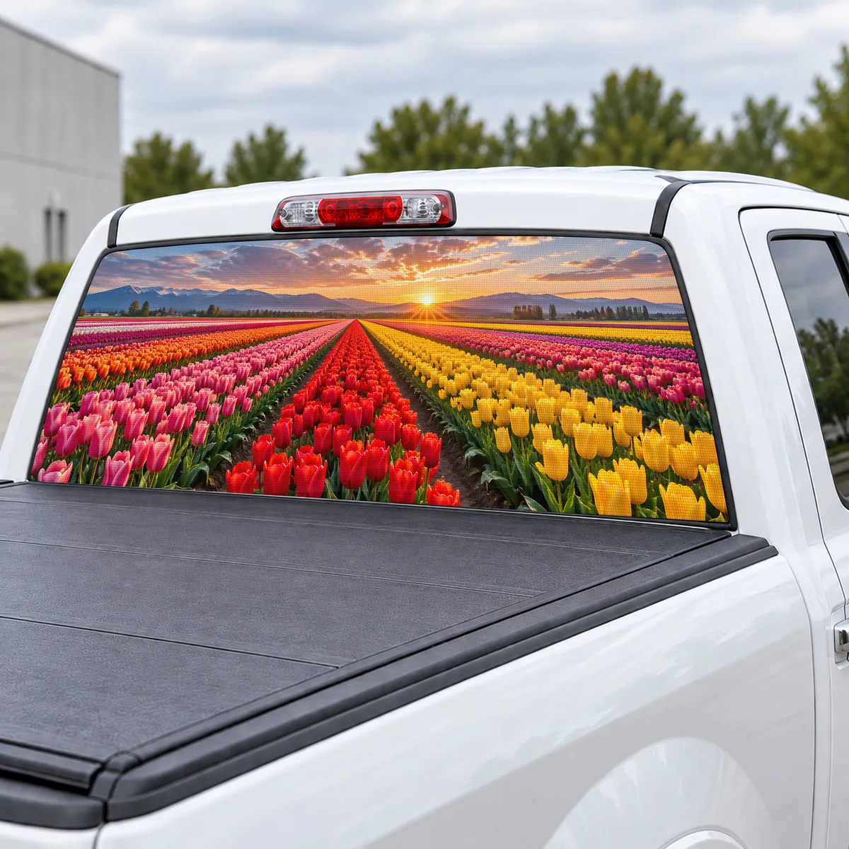 Tulip Fields perforated rear window decal for Trucks, view 3 of 4
