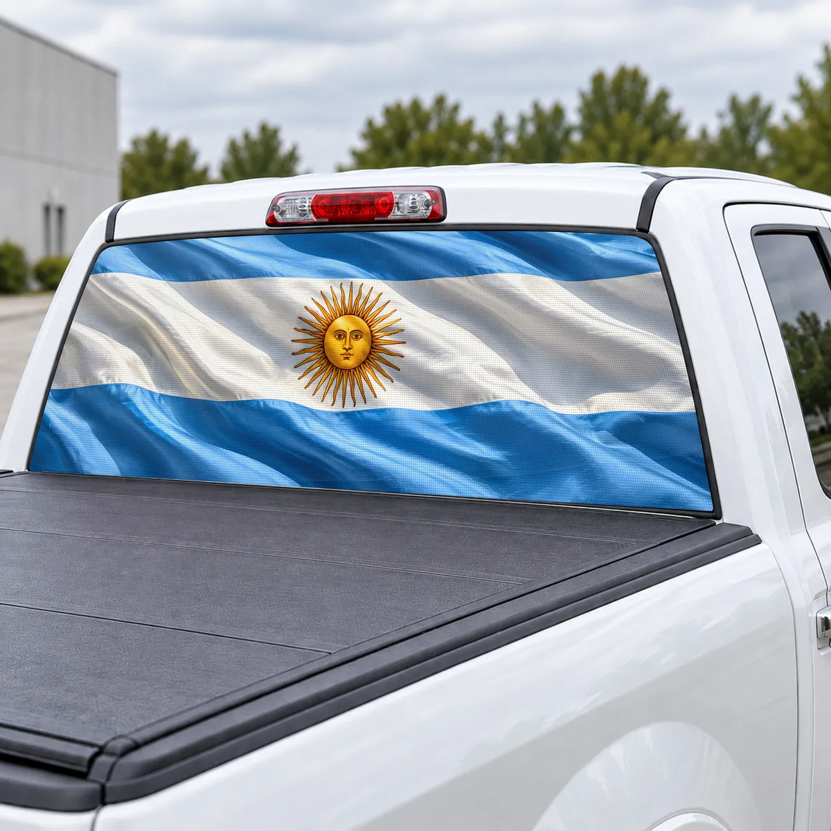 Argentina Pride perforated rear window decal for Trucks, view 3 of 4